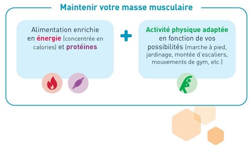 Visuel Maintenir votre masse musculaire