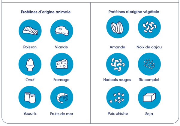 proteines proteines